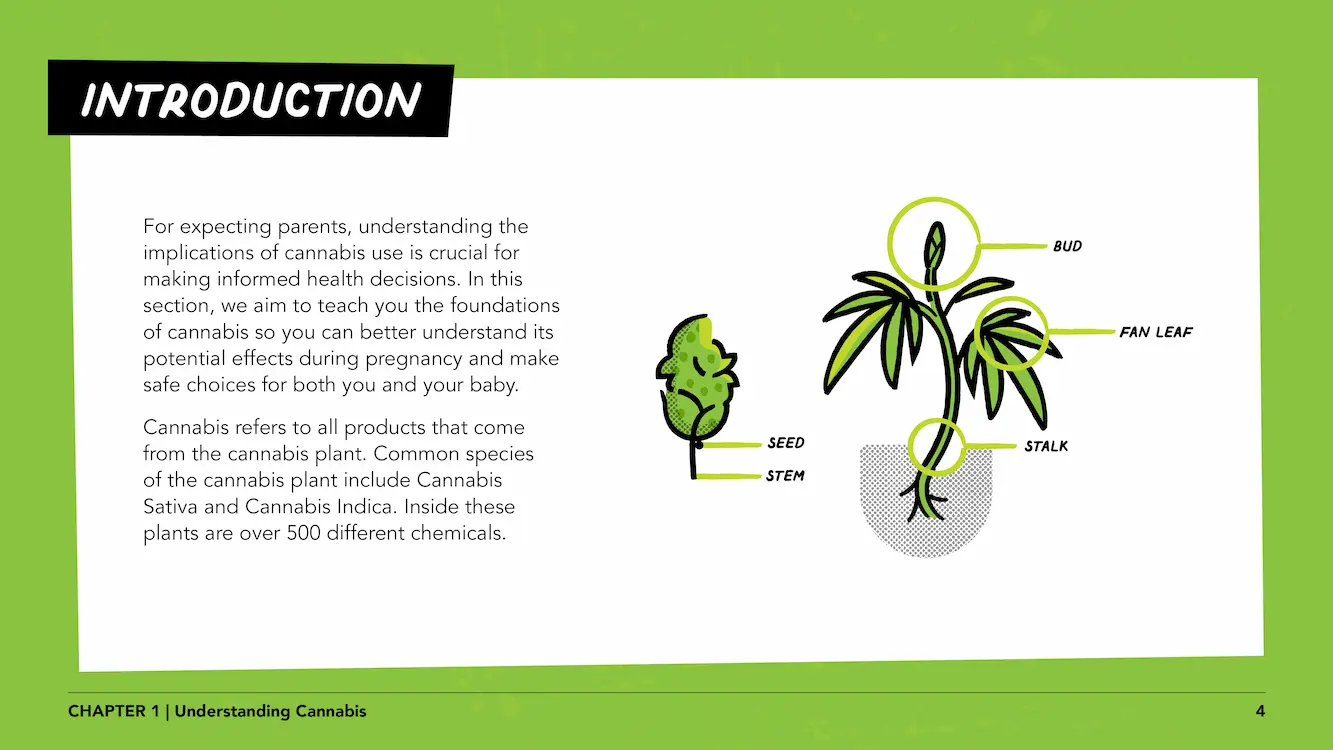 Lesson 3 - Web Curriculum4