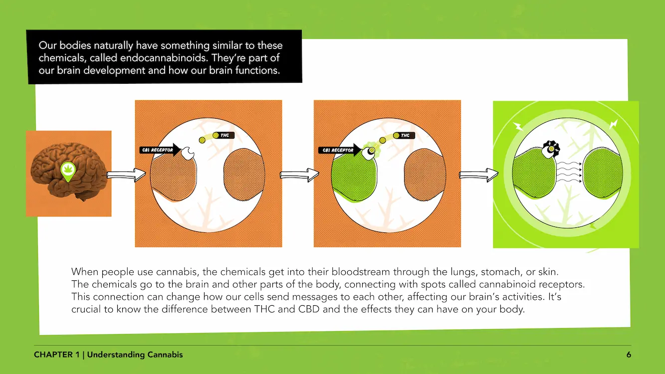 Lesson 3 - Web Curriculum6