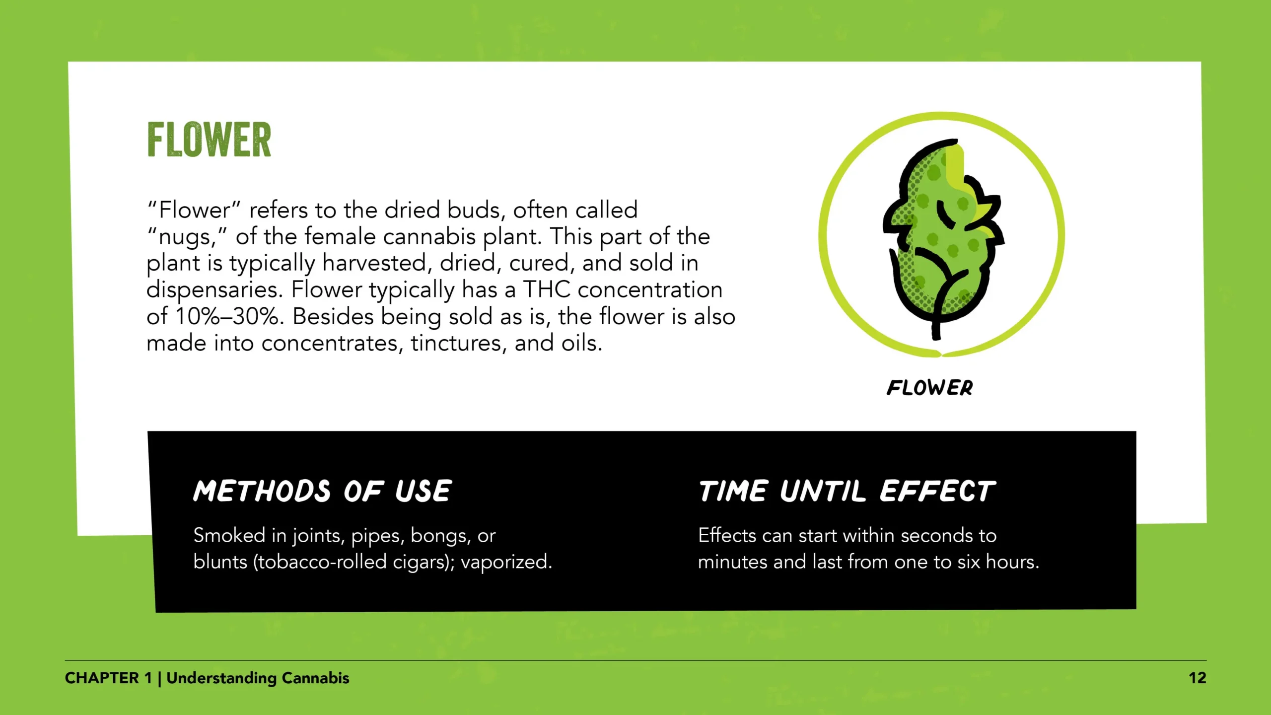 Pregnant women lesson 1 slide 12