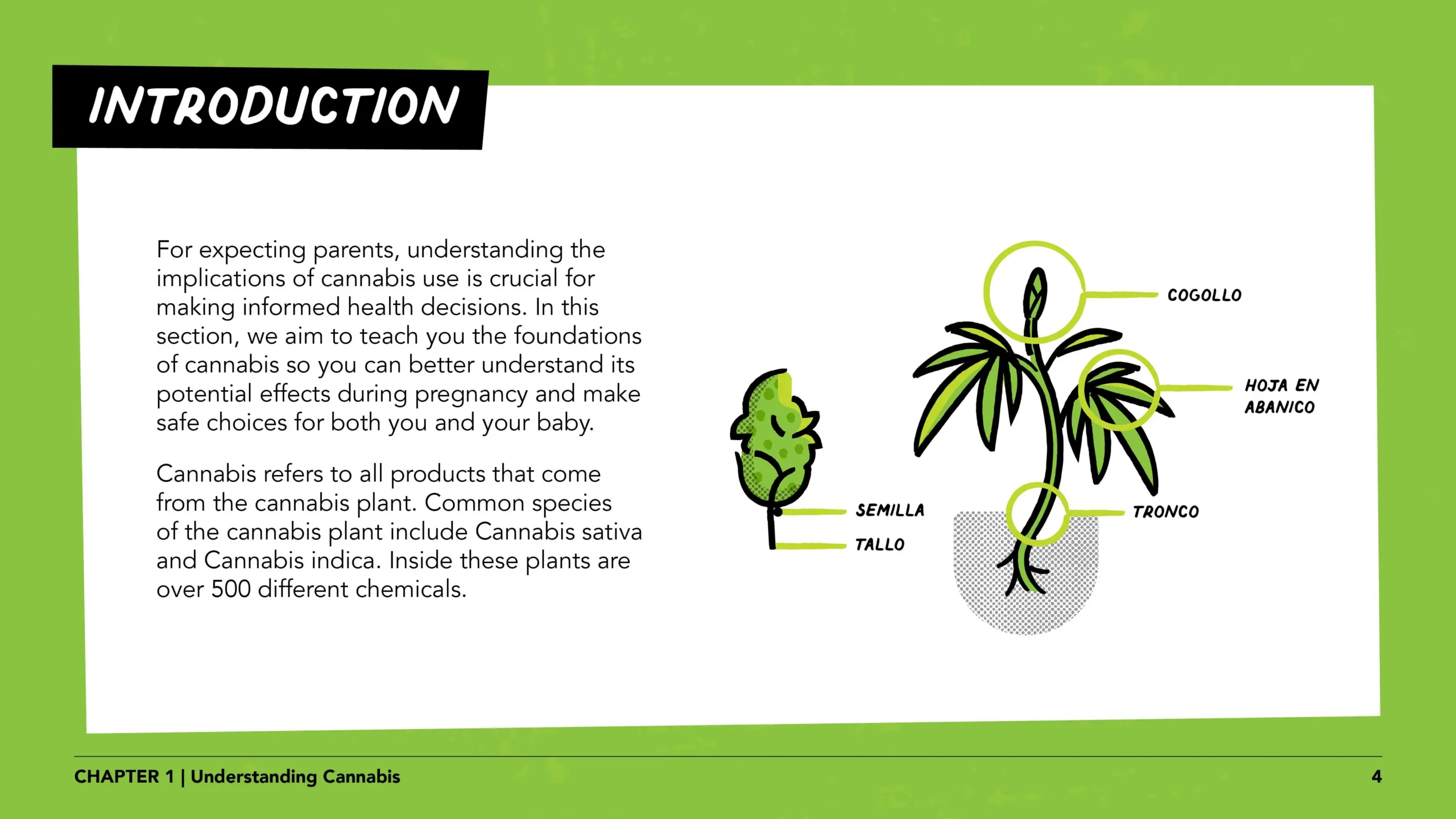 Pregnant women lesson 1 slide 4