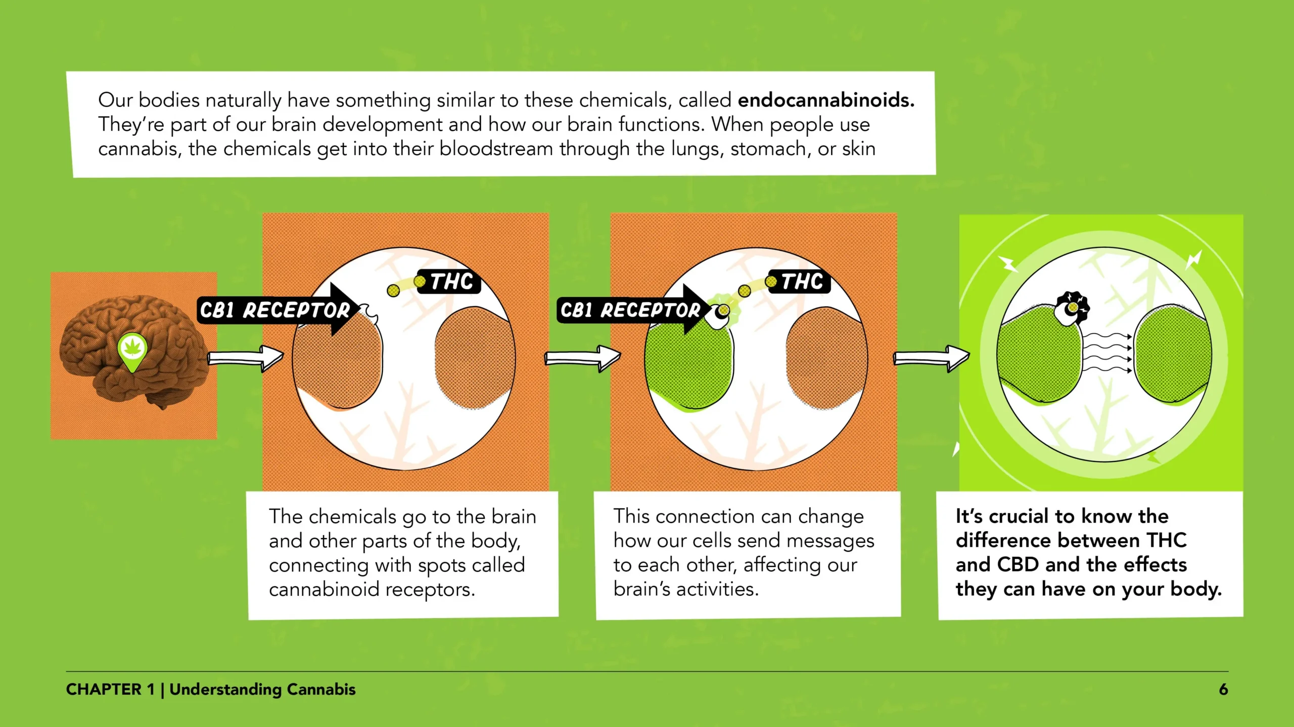 Pregnant women lesson 1 slide 6