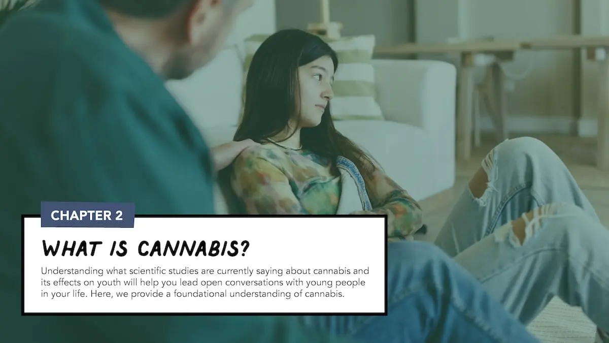 Chapter 2 - What is Cannabis? Understanding what scientific studies are currently saying about cannabis and its effects on youth will help you lead open conversations with young people in your life. Here, we provide a foundational understanding of cannabis.