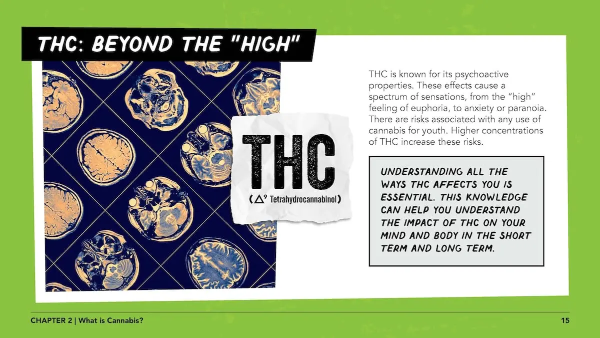 THC: Beyond the "high" - THC is known for its psychoactive properties. These effects cause a spectrum of sensations, from the “high” feeling of euphoria, to anxiety or paranoia. There are risks associated with any use of cannabis for youth. Higher concentrations of THC increase these risks. understanding all the ways THC affects you is essential. This knowledge can help you understand the impact of THC on your mind and body in the short term and long term.