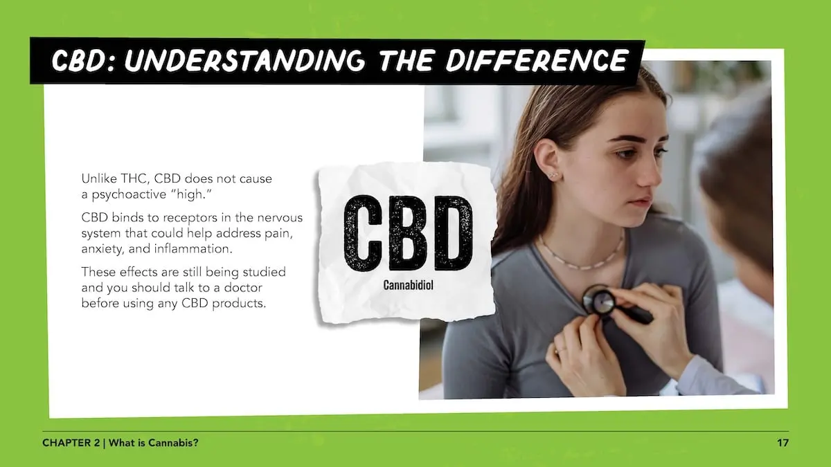 CBD: Understanding the difference - Unlike THC, CBD does not cause a psychoactive “high.”CBD binds to receptors in the nervous system that could help address pain, anxiety, and inflammation. These effects are still being studied and you should talk to a doctor before using any CBD products.