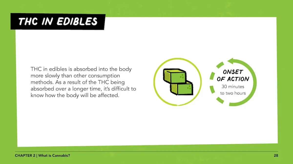 THC in edibles: THC in edibles is absorbed into the body more slowly than other consumption methods. As a result of the THC being absorbed over a longer time, it’s difficult to know how the body will be affected.