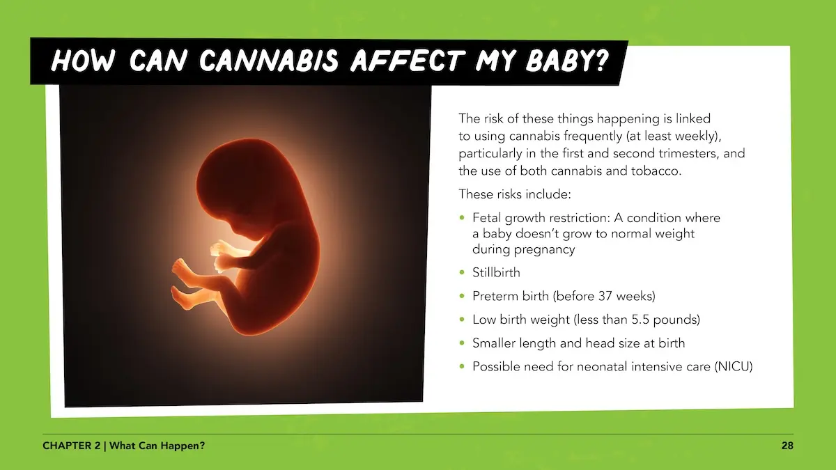 Pregnant women lesson 1 page 28