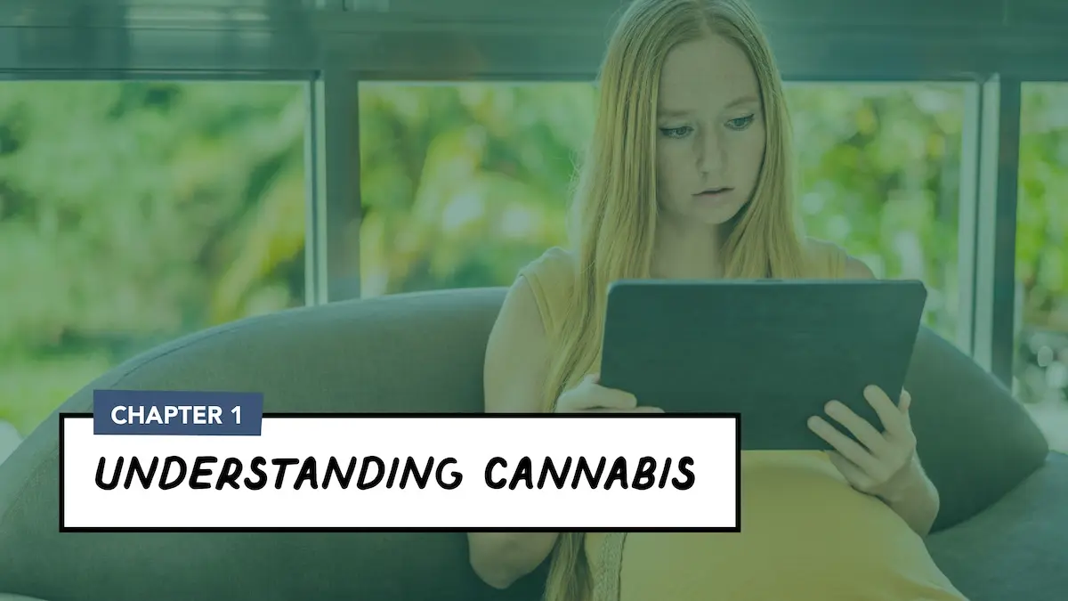 Woman sitting on a couch looking at a tablet with the words "Understanding cannabis" overlaid on top