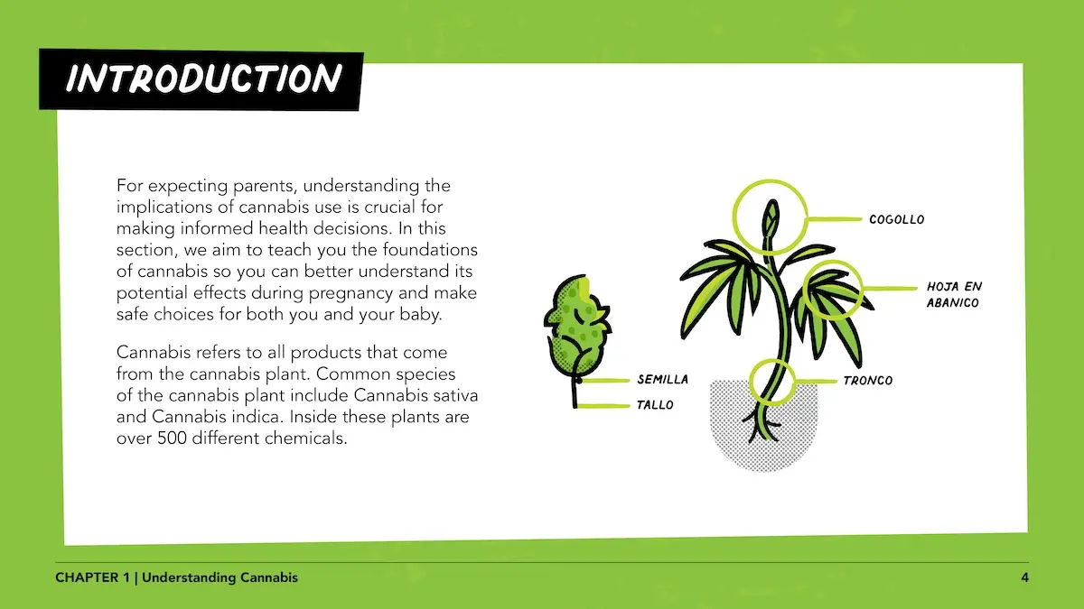 Pregnant women lesson 1 page 4