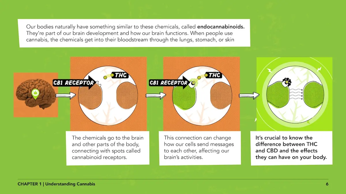 Pregnant women lesson 1 page 6