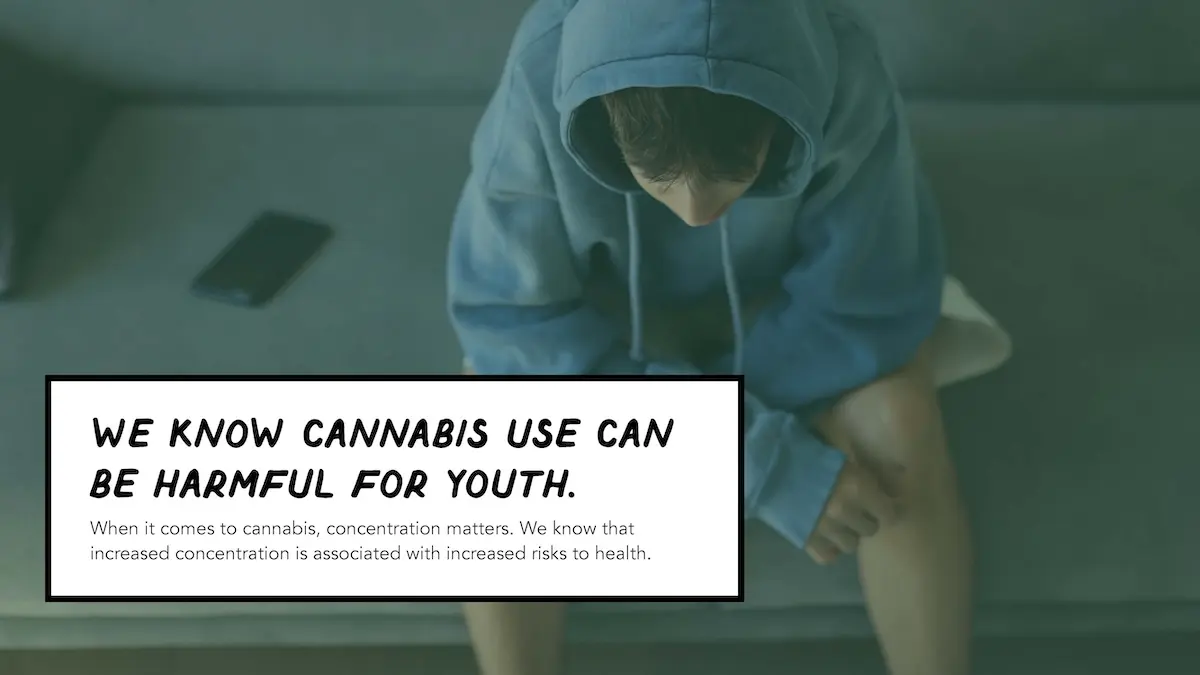 Camera pointing down on teenager wearing a hoodie with the hood up. There is text overlaid on top reading "We know cannabis use can be harmful for youth"