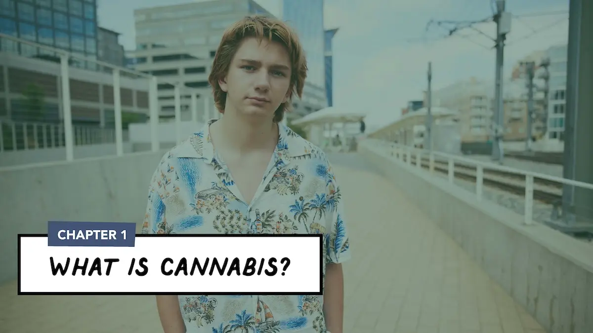 Man standing on bridge in floral shirt with overlayed text "What is cannabis?"