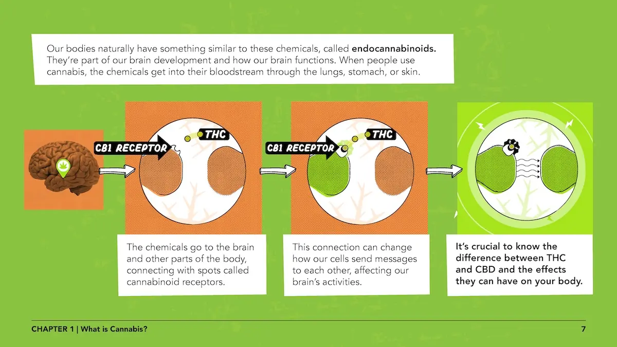 Youth lesson 1 page 7